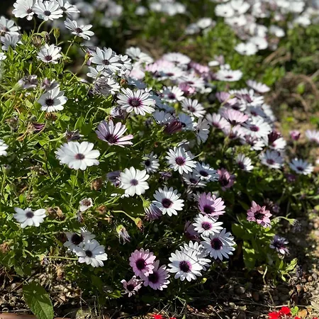 De Tourisme Les Hauts De L'avena